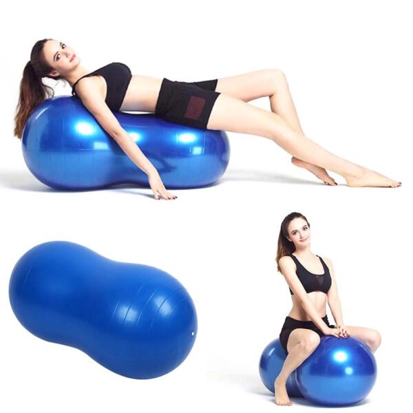 Exercise Ball, Yoga Ball, Gym Ball for Kids Therapy Core Strength Training(Include Pump)