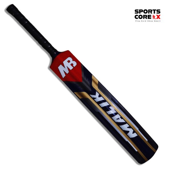CA Vision 10000 English Willow Cricket Bat – Premium Imported, Perfect Balance & Power
