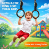 Olympic Gymnastic Rings for Kids - Adjustable Buckle Straps for Strength Training and Fun