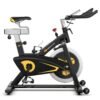 Indoor Magnetic Exercise Bike with Adjustable Resistant and Multi-Position Adjustment